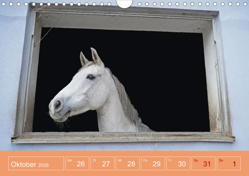 2026 A4 Faszination Reitsport - Wochenkalender