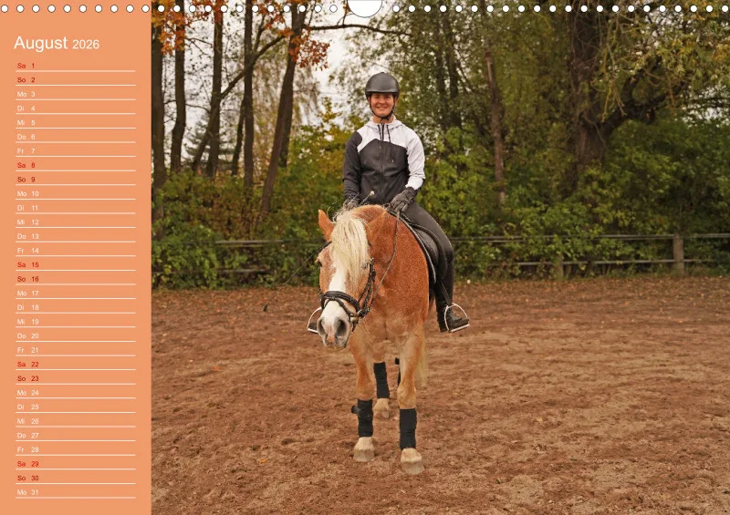 2026 A3 Planer Haflinger Mifisto und Reiterin