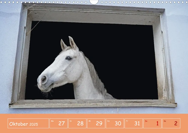 2025 A3 Faszination Reitsport - Wochenkalender