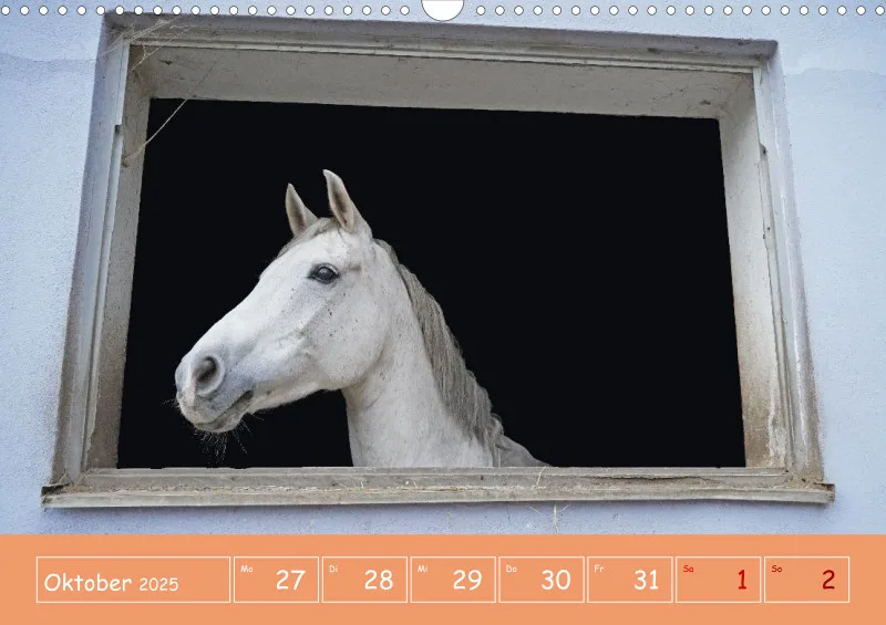 2025 A3 Faszination Reitsport - Wochenkalender