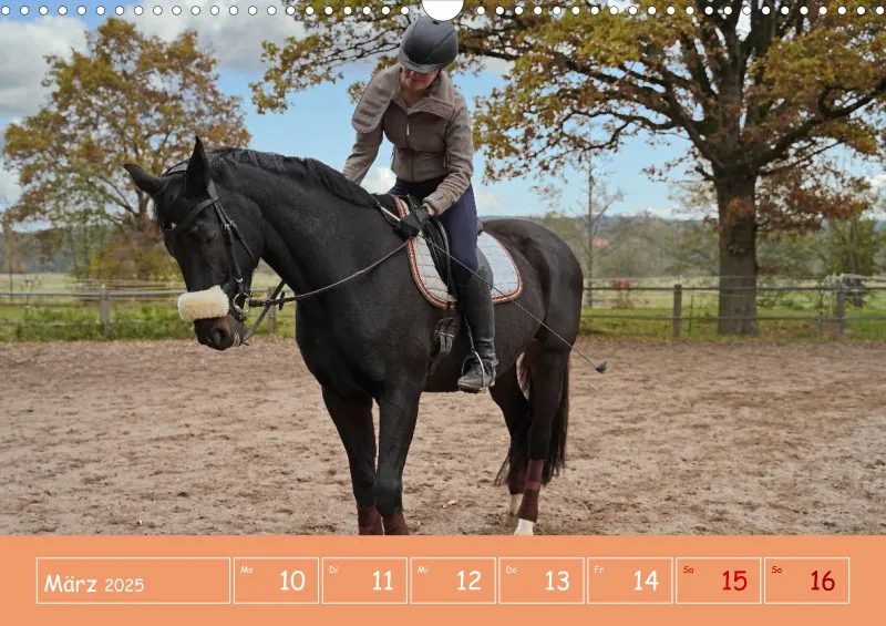 2025 A3 Faszination Reitsport - Wochenkalender