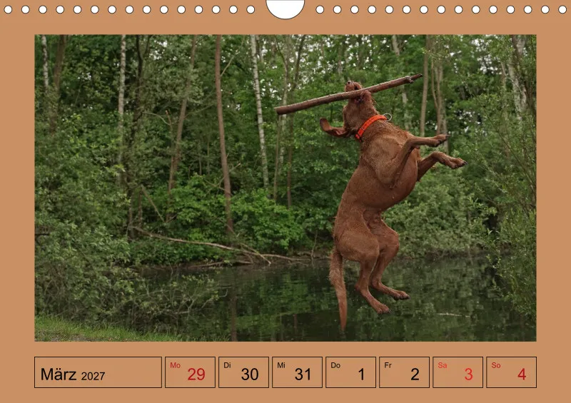 2027 A4 Wochenkalender Faszination Magyar Vizsla
