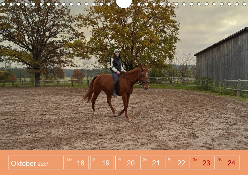 2027 A4 Faszination Reitsport - Wochenkalender