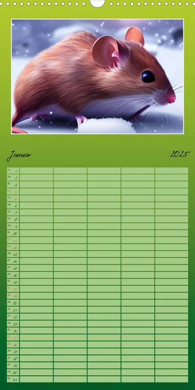 2025 Familienplaner Der Maus Kalender