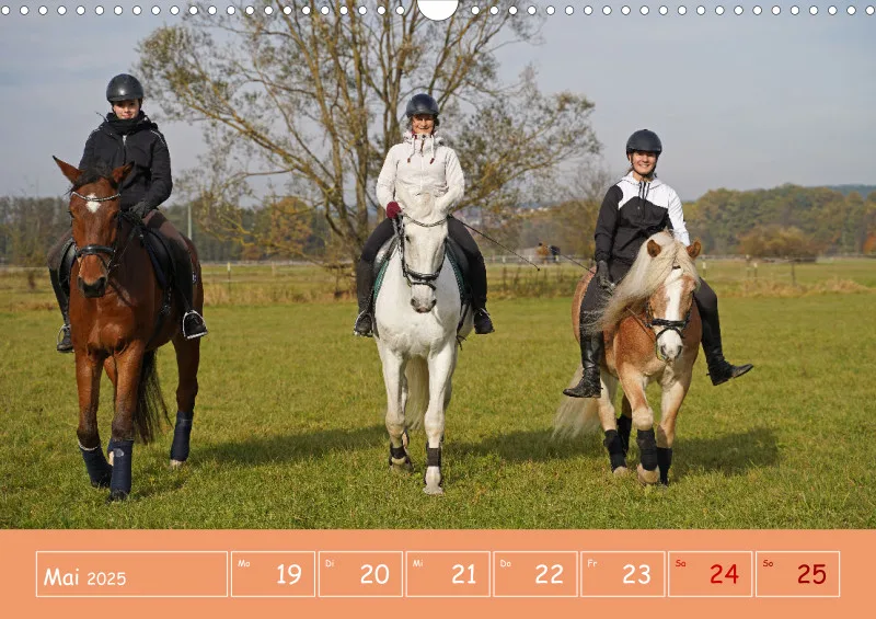 2025 A3 Faszination Reitsport - Wochenkalender