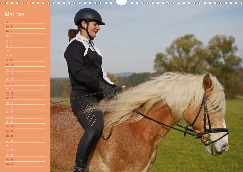 2026 A3 Planer Haflinger Mifisto und Reiterin