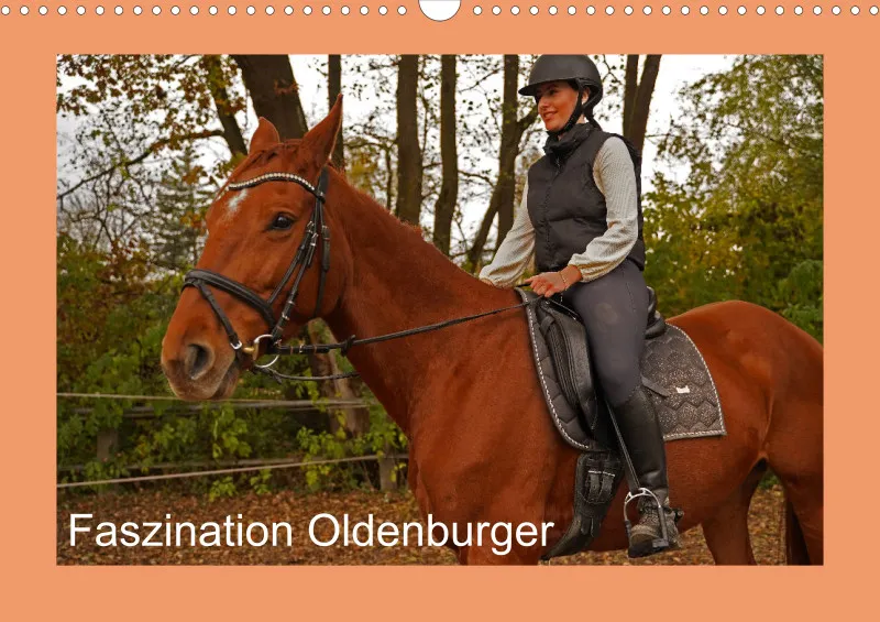 2026 A3 - Faszination Oldenburger