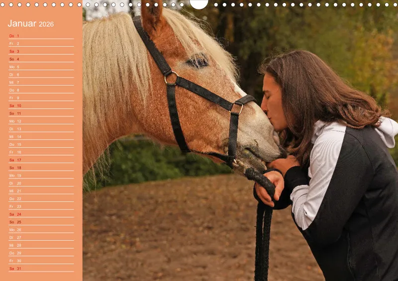 2026 A3 Planer Haflinger Mifisto und Reiterin