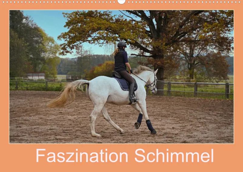 2026 A2 Faszination Schimmel