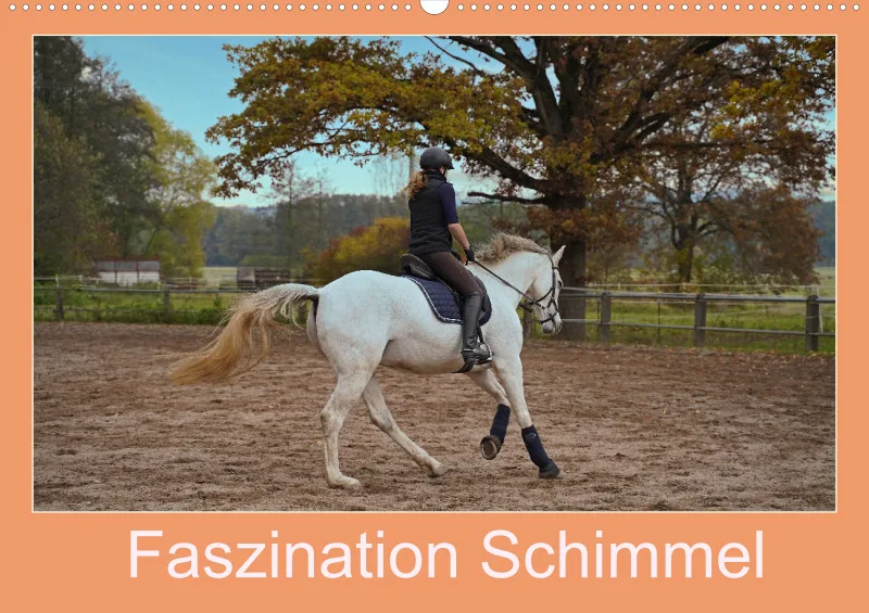2026 A2 Faszination Schimmel