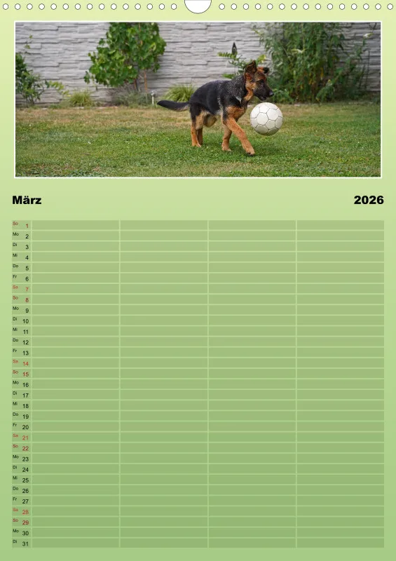 2026 A3 Familienplaner Schäferhündin