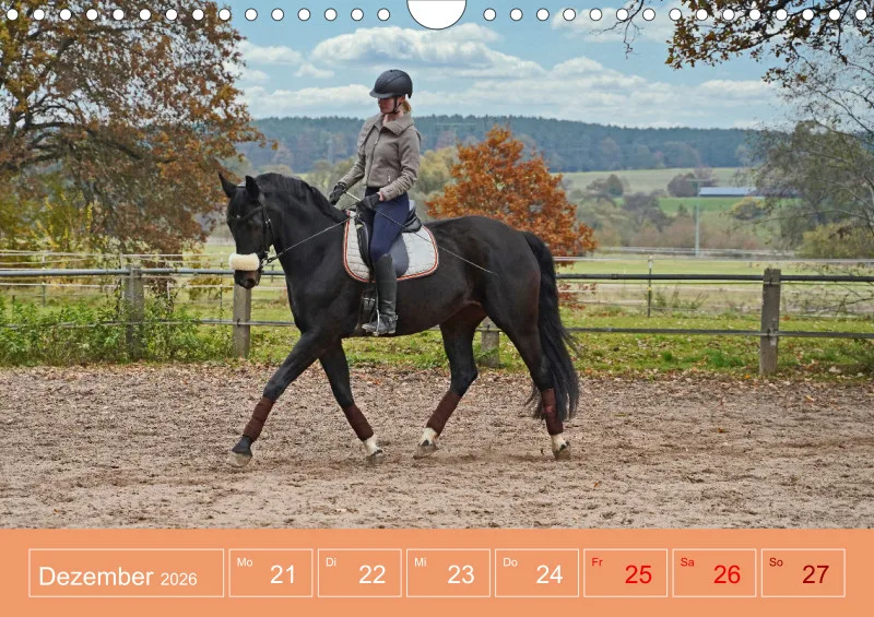 2026 A4 Faszination Reitsport - Wochenkalender