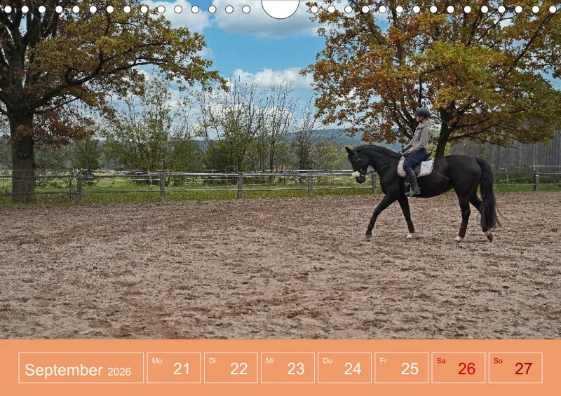 2026 A4 Faszination Reitsport - Wochenkalender