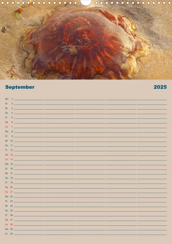 2025 A3 Planer Unterwegs am Strand