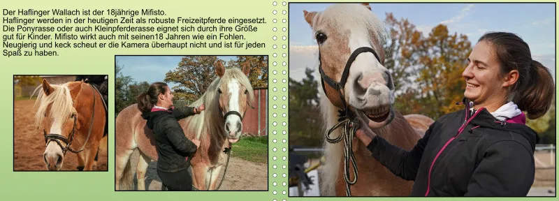Fotoalbum A4 - Faszination Reitsport