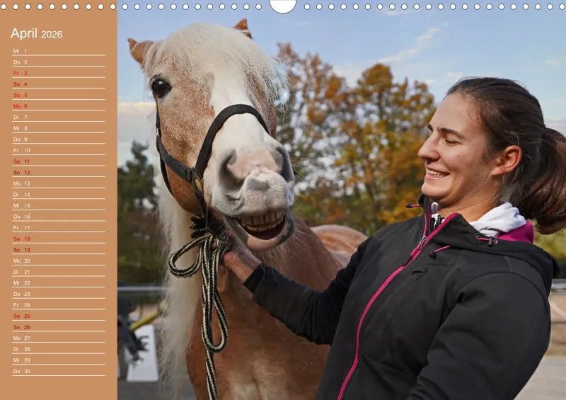2026 A3 Faszination Haflinger