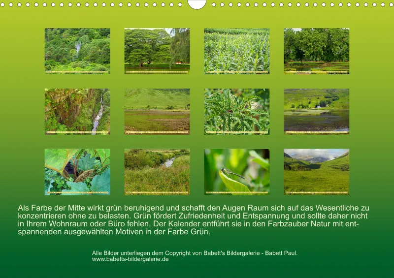 2025 A3 Farbzauber Natur -Grün