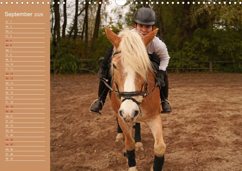 2026 A3 Faszination Haflinger