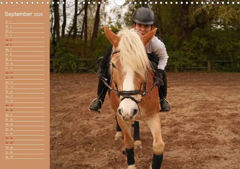 2026 A3 Faszination Haflinger
