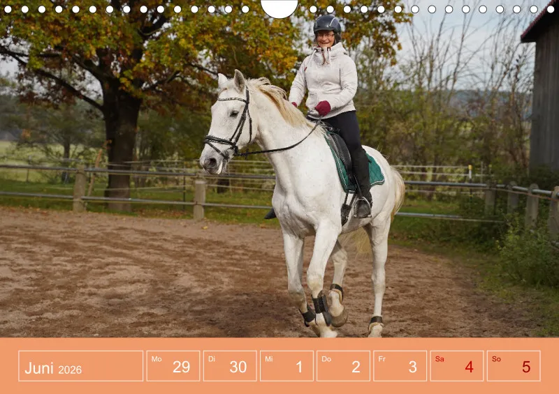 2026 A4 Faszination Reitsport - Wochenkalender