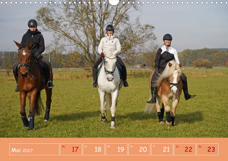 2027 A3 Faszination Reitsport - Wochenkalender