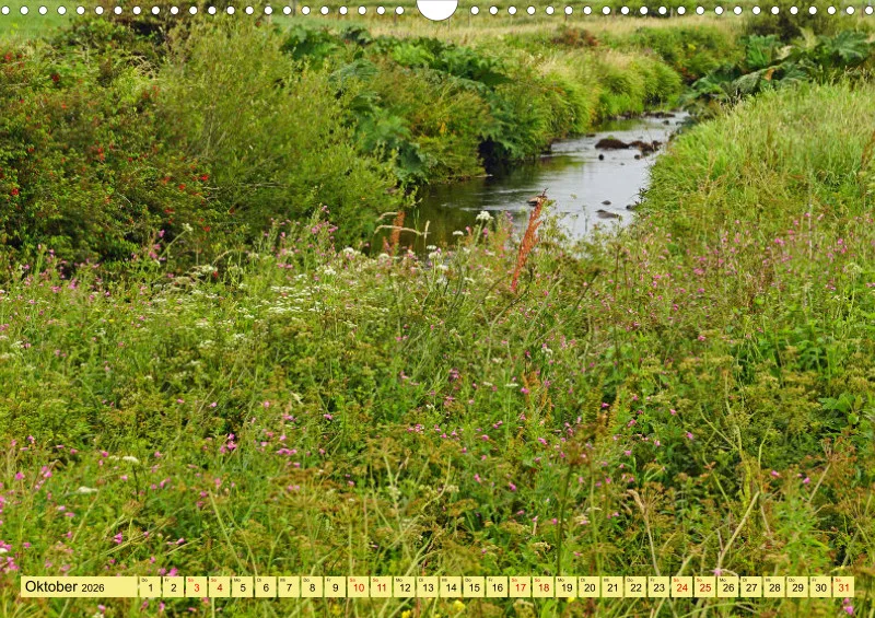 2026 A3 Farbzauber Natur -Grün