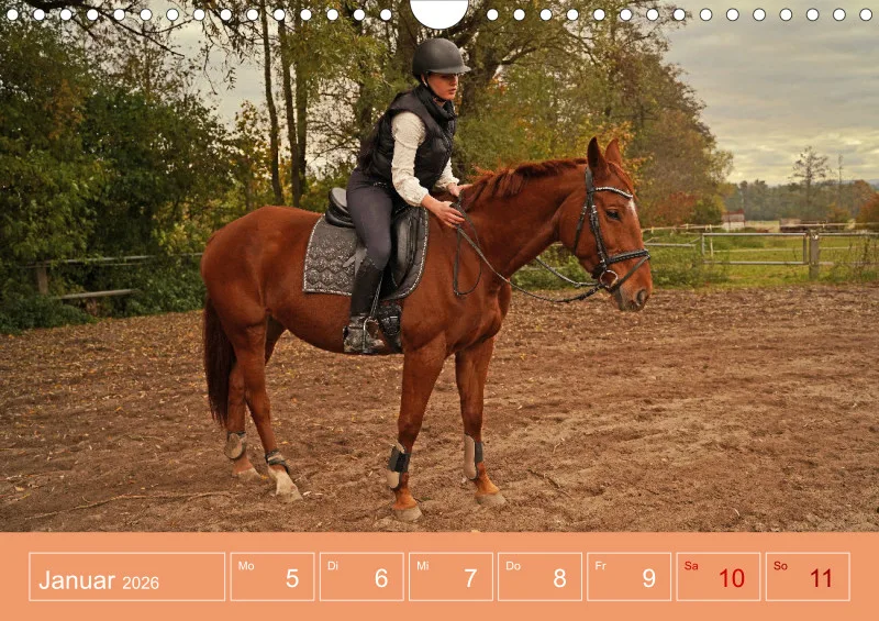 2026 A4 Faszination Reitsport - Wochenkalender