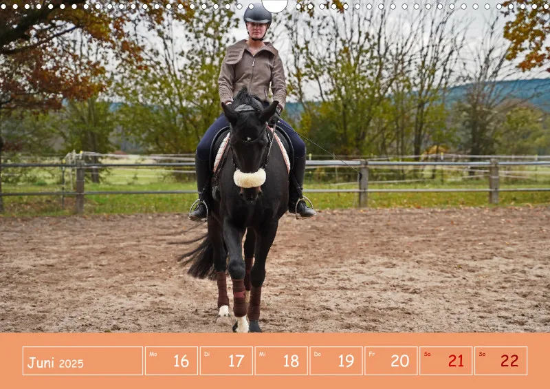 2025 A3 Faszination Reitsport - Wochenkalender