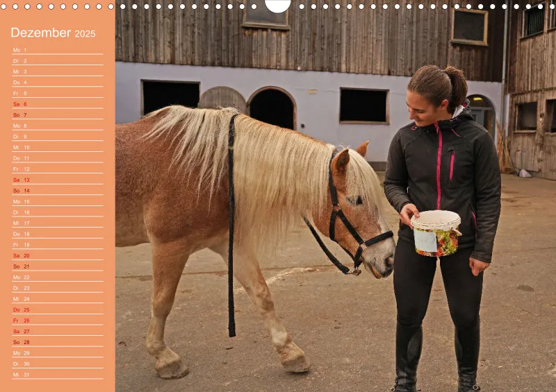 2025 A3 Haflinger Mifisto und Reiterin