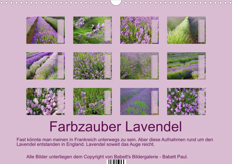 2027 A3 Terminplaner Farbzauber Lavendel