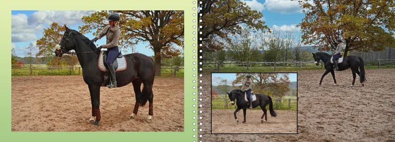 Fotoalbum A4 - Faszination Reitsport