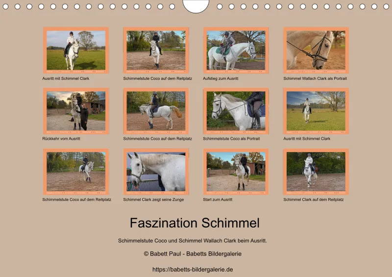 2026 A4 Faszination Schimmel