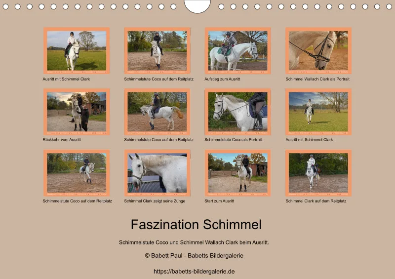 2026 A4 Faszination Schimmel