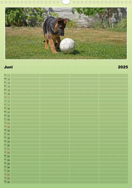 2025 A3 Familienplaner Schäferhündin