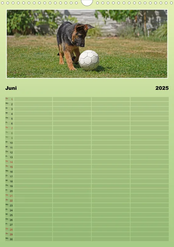 2025 A3 Familienplaner Schäferhündin