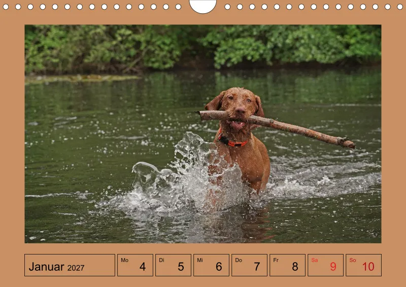 2027 A4 Wochenkalender Faszination Magyar Vizsla