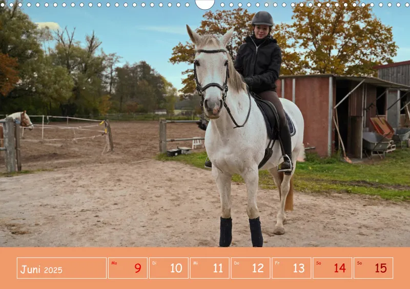 2025 A3 Faszination Reitsport - Wochenkalender