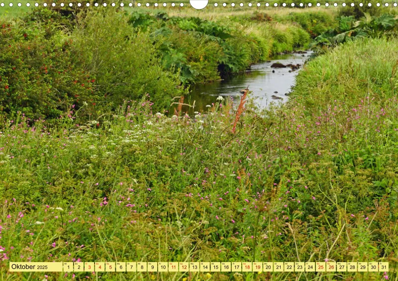 2025 A3 Farbzauber Natur -Grün