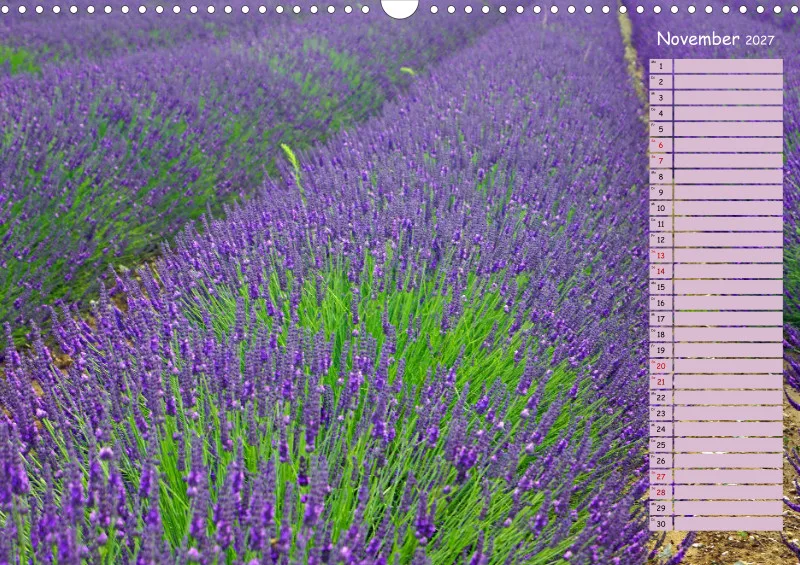 2027 A3 Terminplaner Farbzauber Lavendel