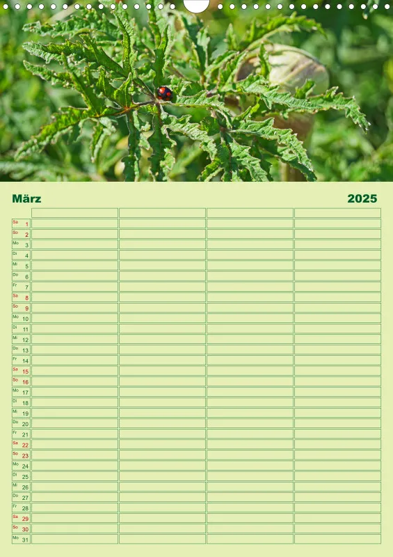 2025 A3 Planer Farbzauber Natur - Grün
