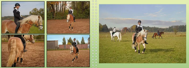 Fotoalbum A4 - Faszination Reitsport