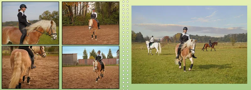 Fotoalbum A4 - Faszination Reitsport