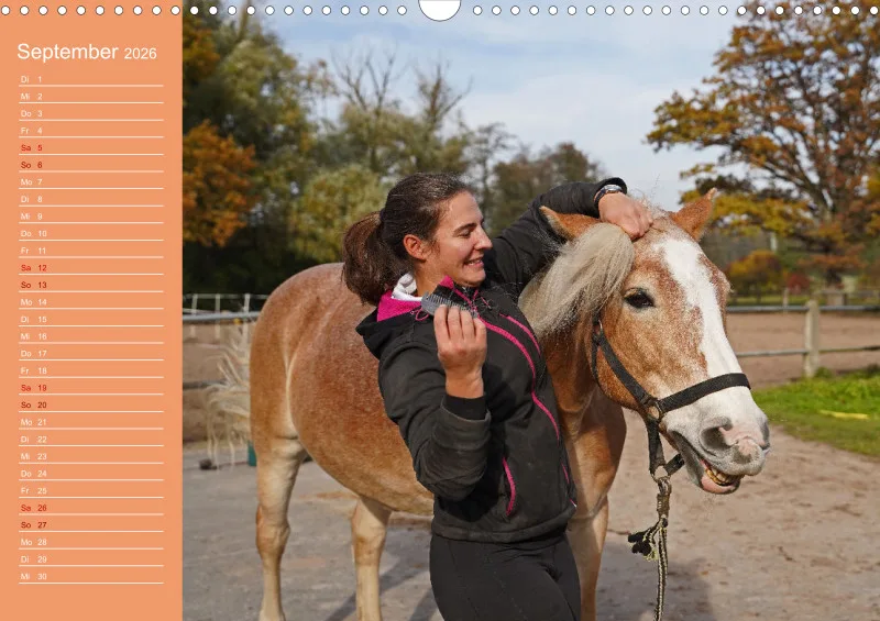 2026 A3 Planer Haflinger Mifisto und Reiterin