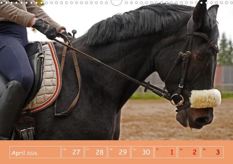 2026 A3 Faszination Reitsport - Wochenkalender