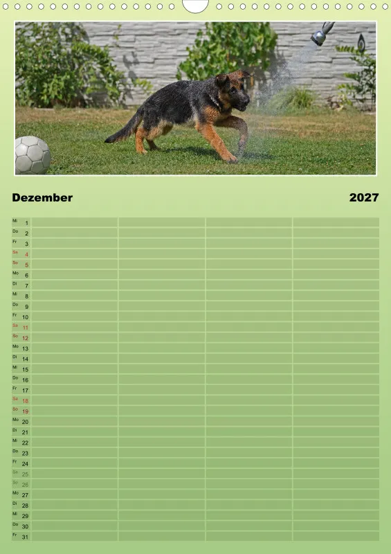 2027 A3 Familienplaner Schäferhündin