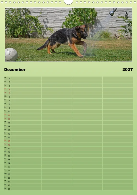 2027 A3 Familienplaner Schäferhündin