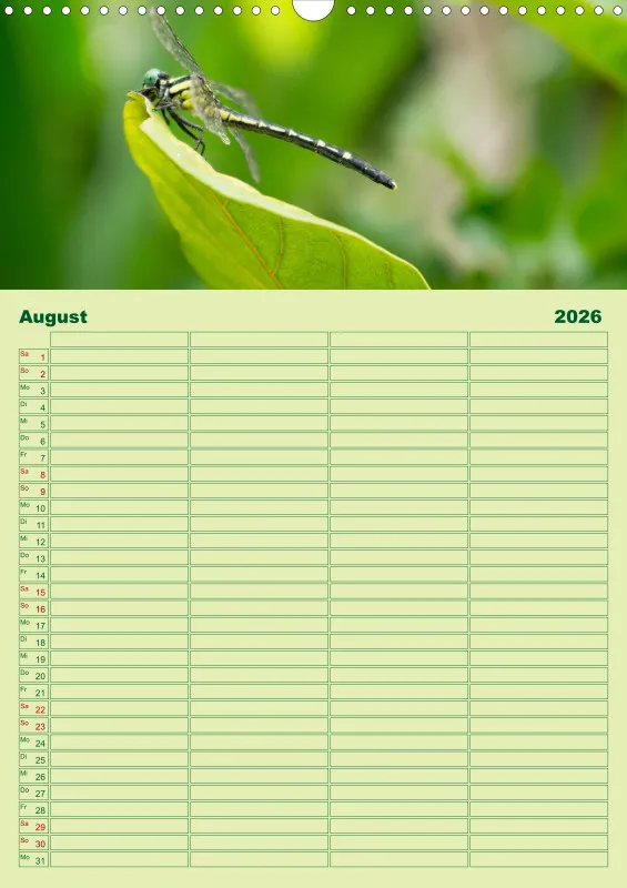 2026 A3 Planer Farbzauber Natur - Grün
