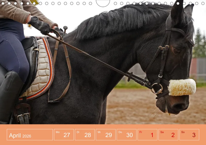 2026 A4 Faszination Reitsport - Wochenkalender