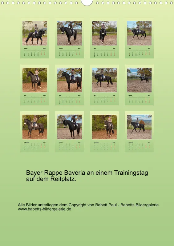 2025 A3 Faszination Bayer