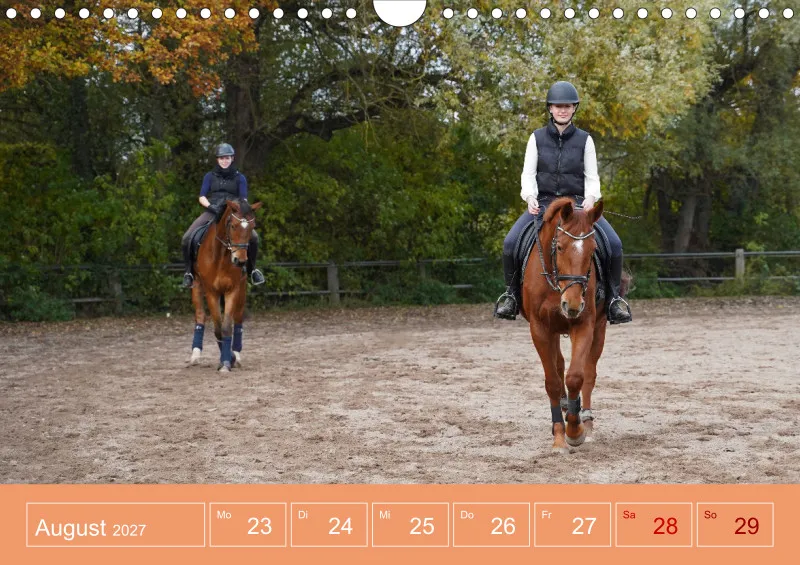 2027 A4 Faszination Reitsport - Wochenkalender